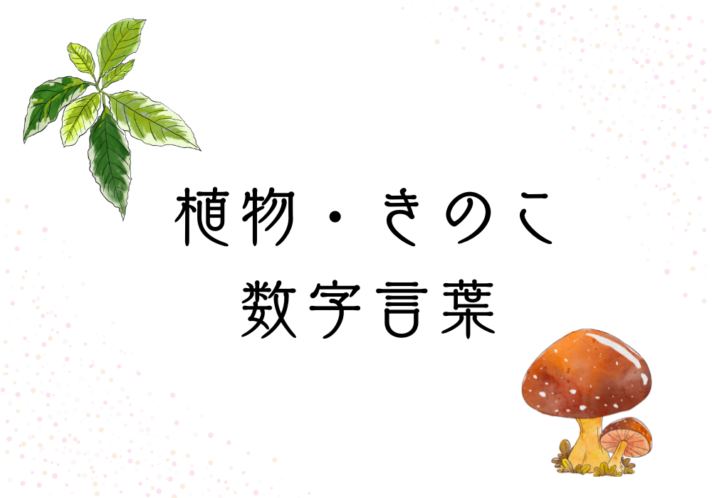 植物ときのこの数字言葉